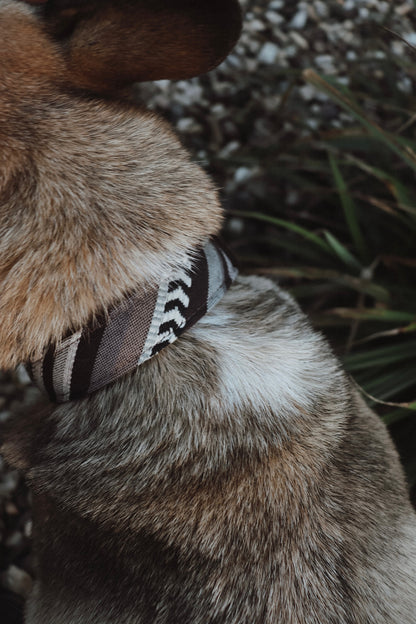 Halsband FRIGG • Fettleder-Stoff-Kombi | verschiedene Varianten erhältlich