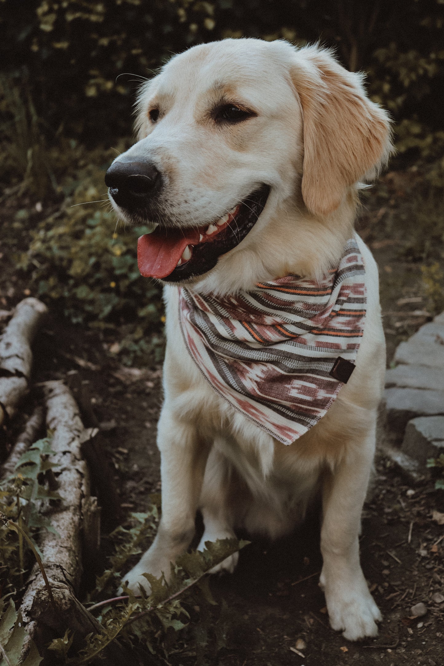 Halstuch SOL - Bandana | Hundehalstuch | leicht