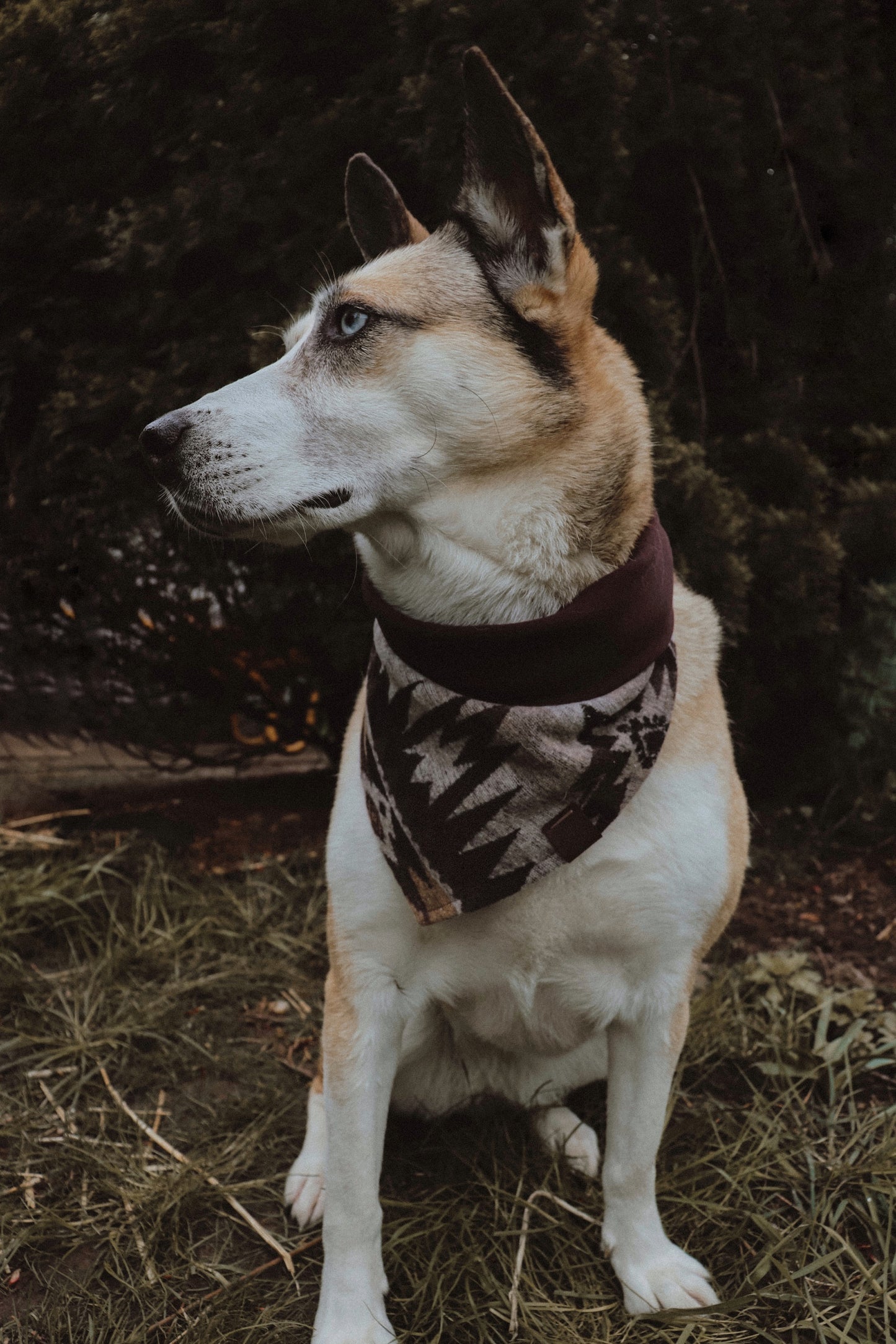 Halstuch YMIR - Bandana | Hundehalstuch | mittelschwer