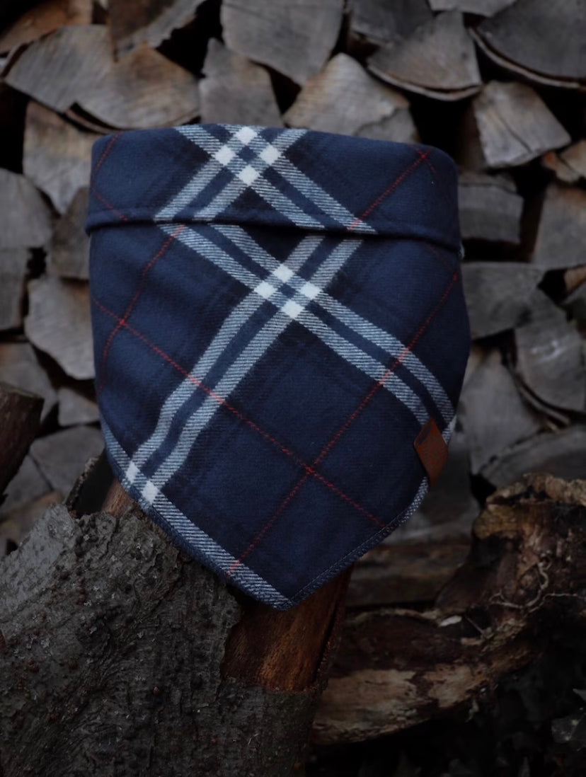 Halstuch HUGIN - Bandana | Hundehalstuch | mittelschwer