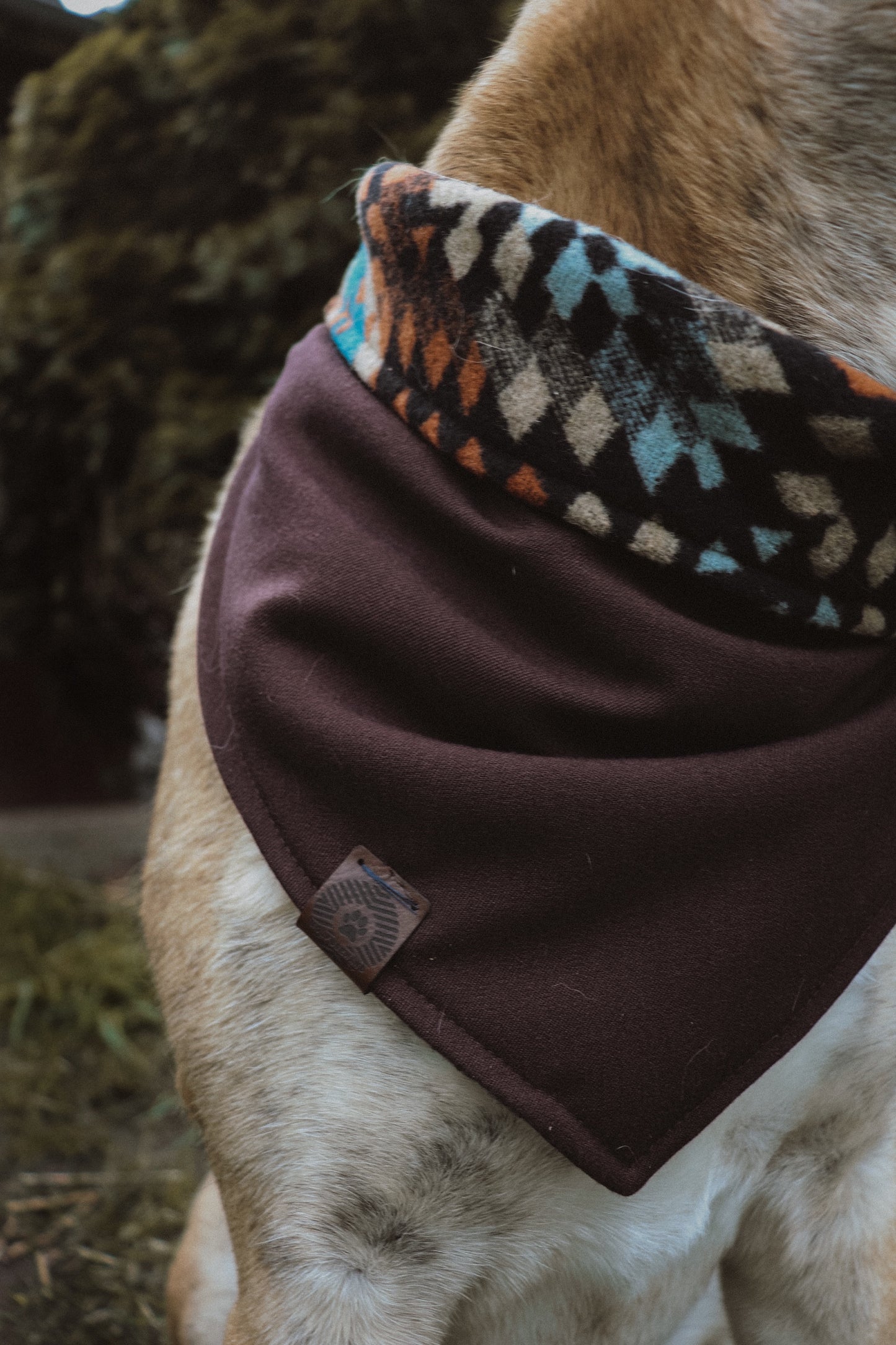Halstuch VALI - Bandana | Hundehalstuch | mittelschwer