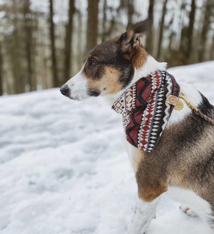 Halstuch FENRIS - Bandana | Hundehalstuch | schwer