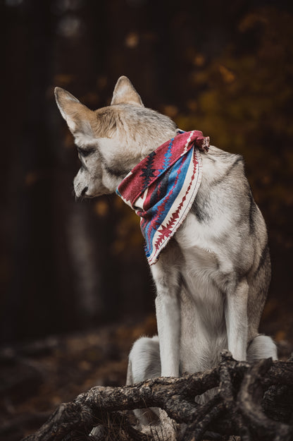 Halstuch SAGA - Bandana | Hundehalstuch | mittelschwer