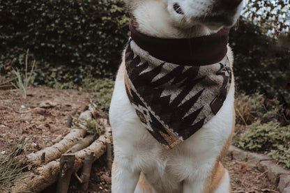 Halstuch YMIR - Bandana | Hundehalstuch | mittelschwer
