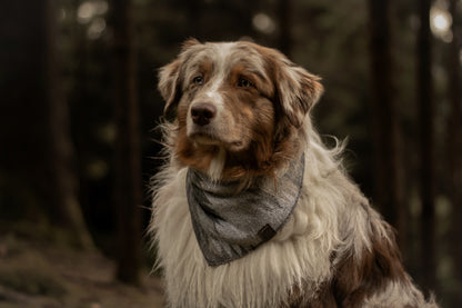 Halstuch SKULD - Bandana | Hundehalstuch | mittelschwer