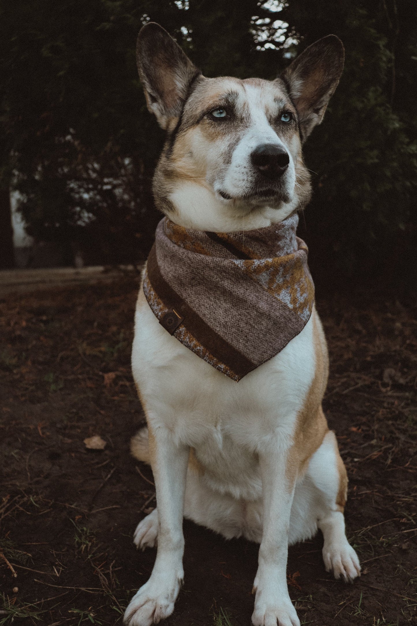 Halstuch THRUD - Bandana | Hundehalstuch | mittelschwer