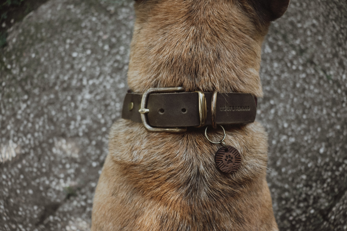 TYR collar in an ethnic look made of greased leather and fabric combination - available in different designs