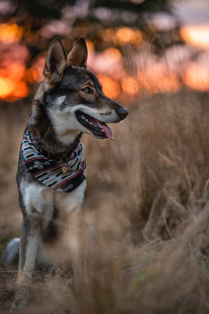 Halstuch IDUNA - Bandana | Hundehalstuch | leicht