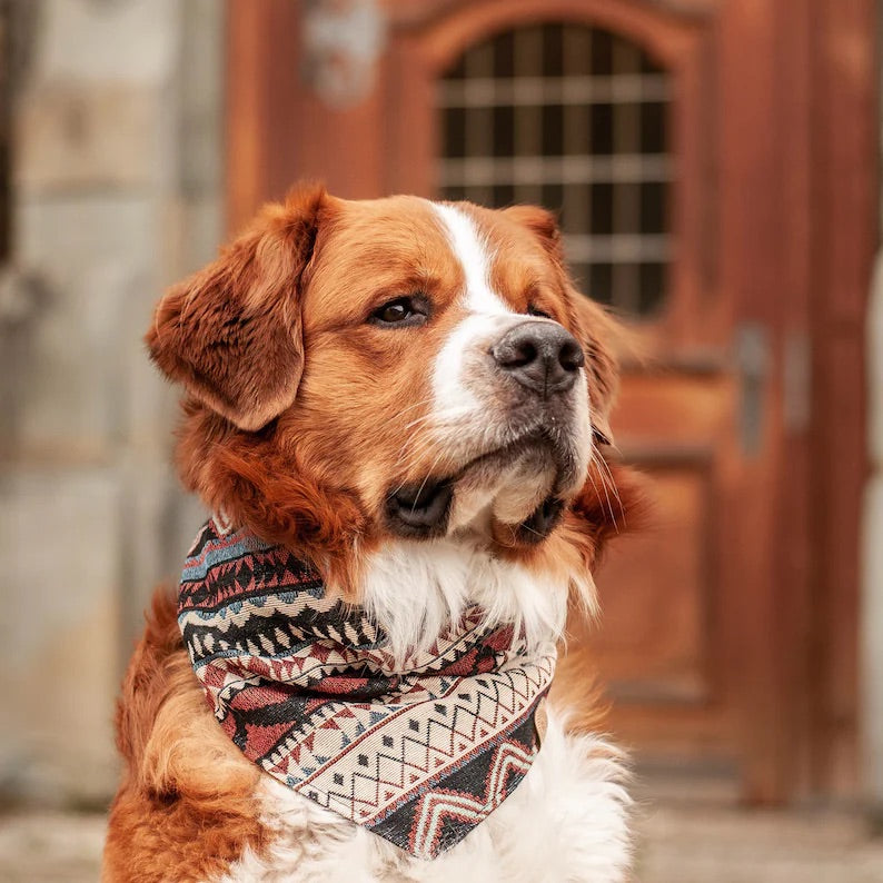 Halstuch FENRIS - Bandana | Hundehalstuch | schwer