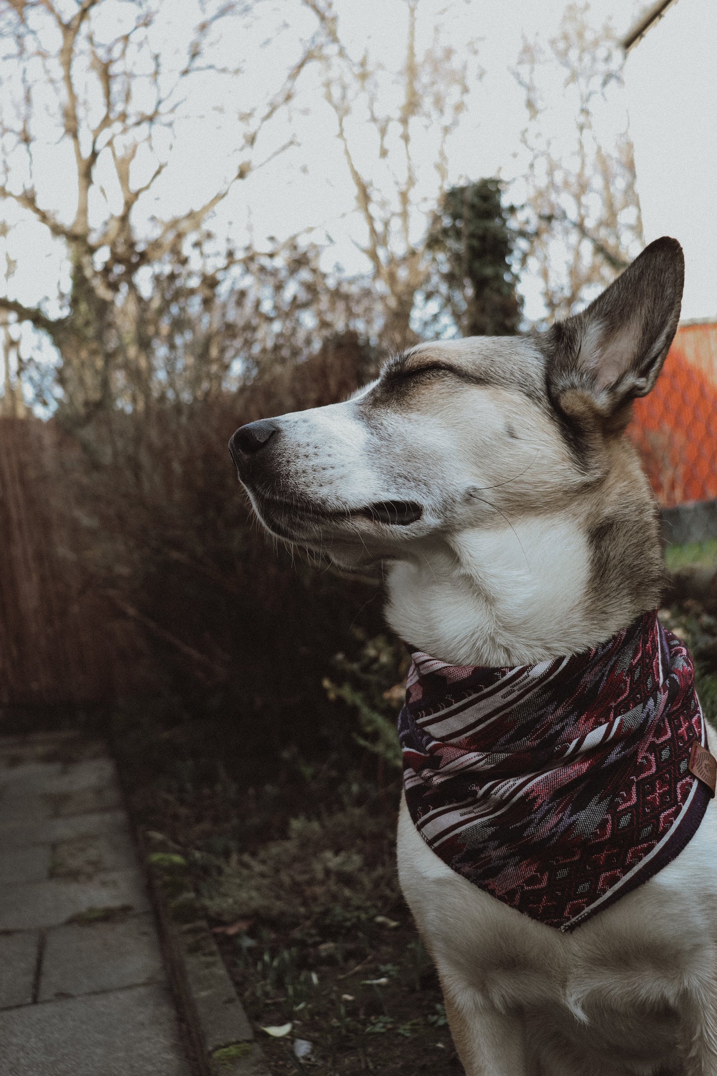 Halstuch HEL - Bandana | Hundehalstuch | schwer