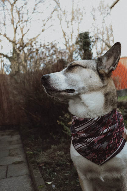 Halstuch HEL - Bandana | Hundehalstuch | schwer