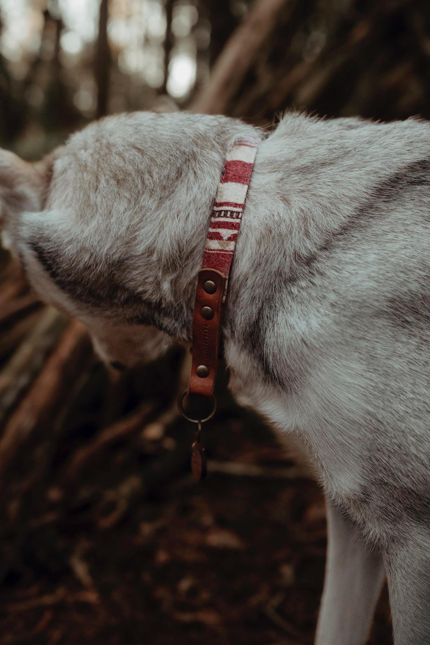 SINDRI collar in an ethnic look made of greased leather and fabric combination - available in different versions