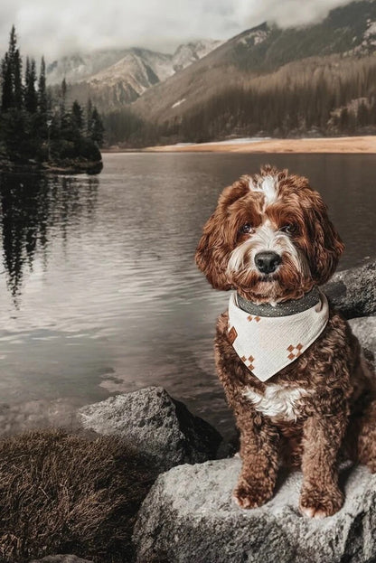 Halstuch RUNA - Bandana Hundehalstuch | leicht