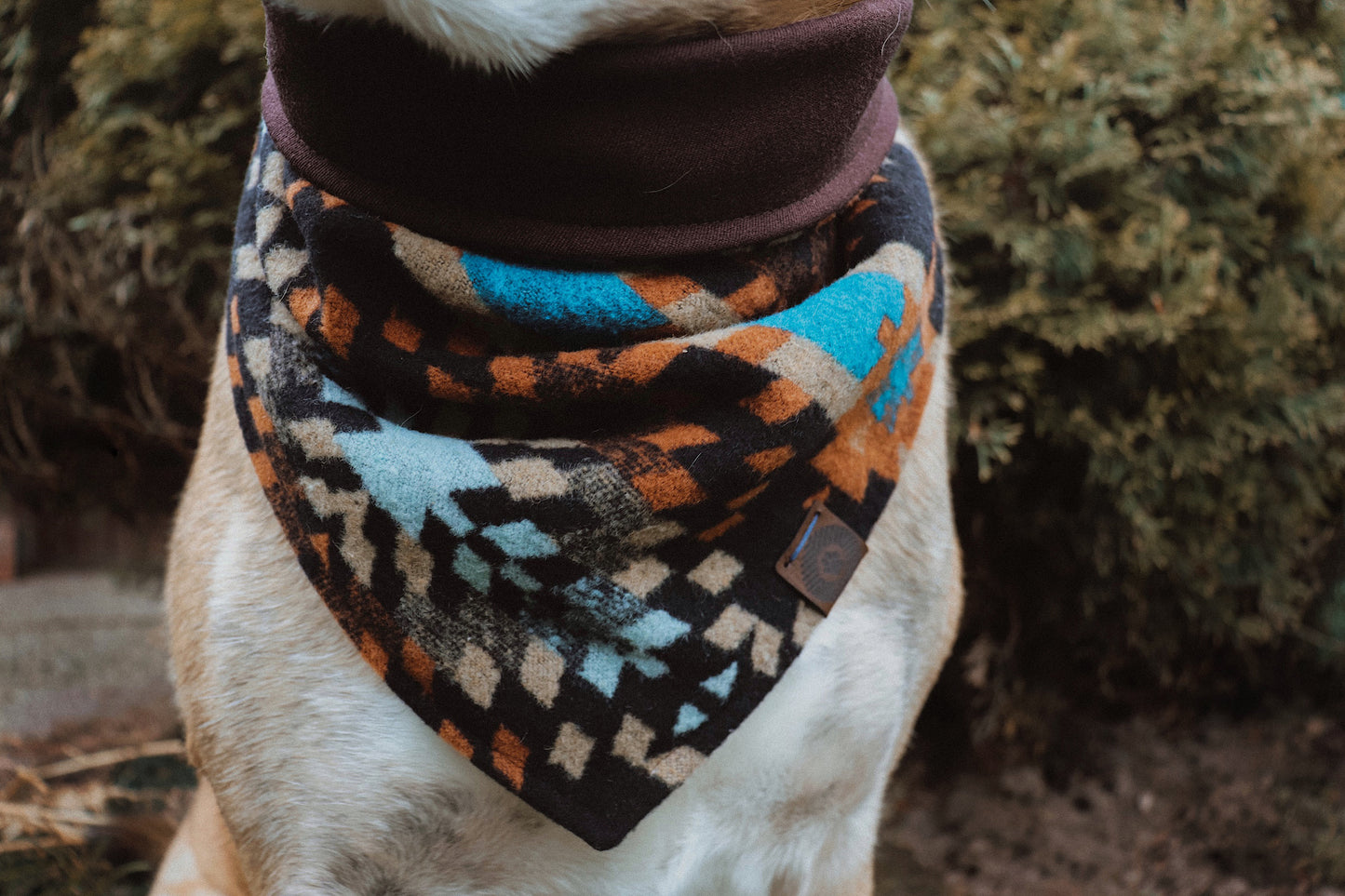 Halstuch VALI - Bandana | Hundehalstuch | mittelschwer