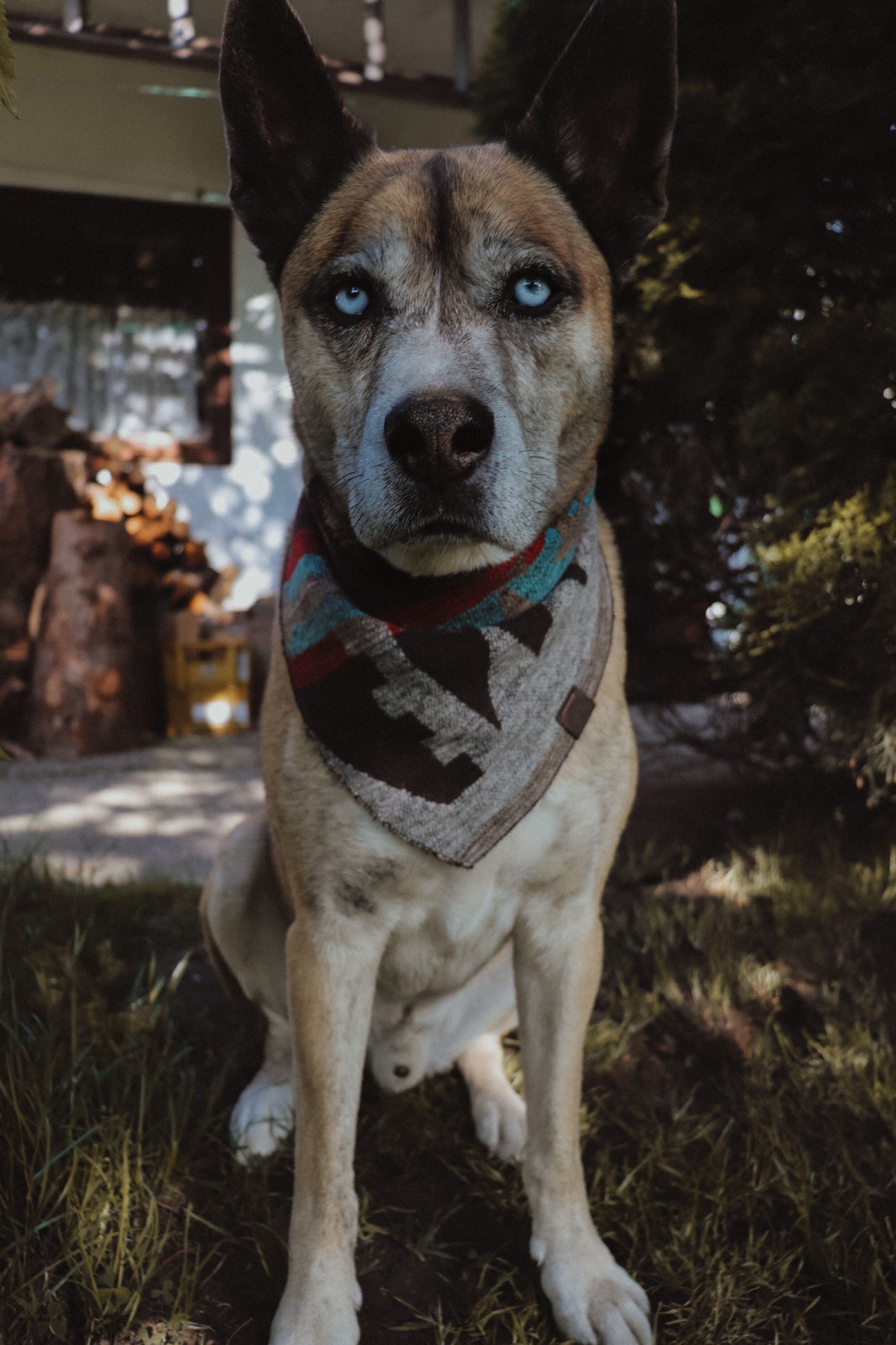 Halstuch BURI - Bandana | Hundehalstuch | mittelschwer