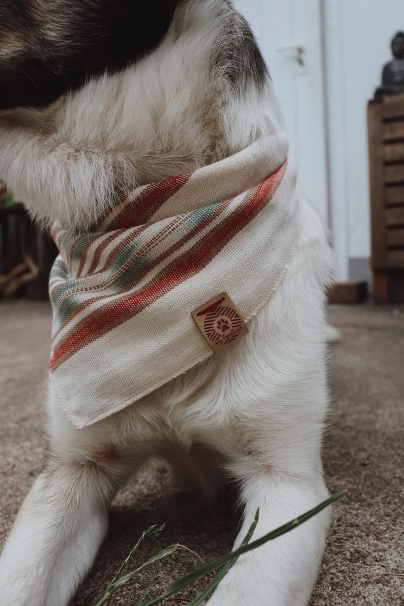 Halstuch DAG - Bandana | Hundehalstuch | leicht
