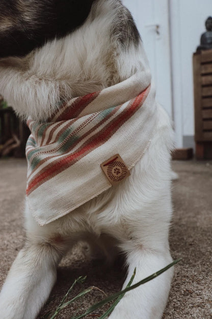 Halstuch DAG - Bandana | Hundehalstuch | leicht