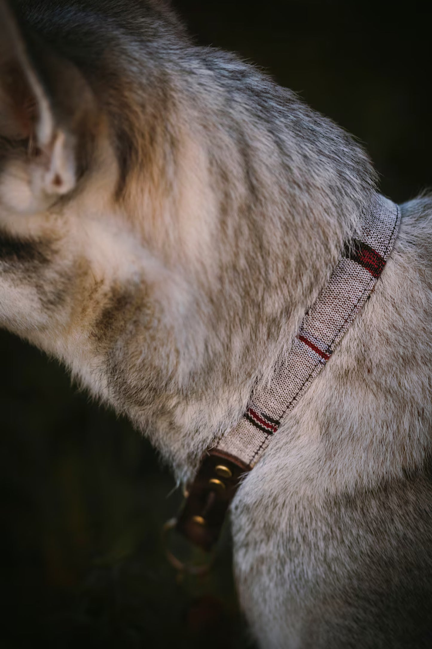 EDDA collar in an ethnic look made of greased leather and fabric combination - available in different designs