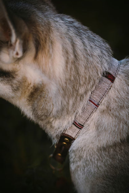 EDDA collar in an ethnic look made of greased leather and fabric combination - available in different designs