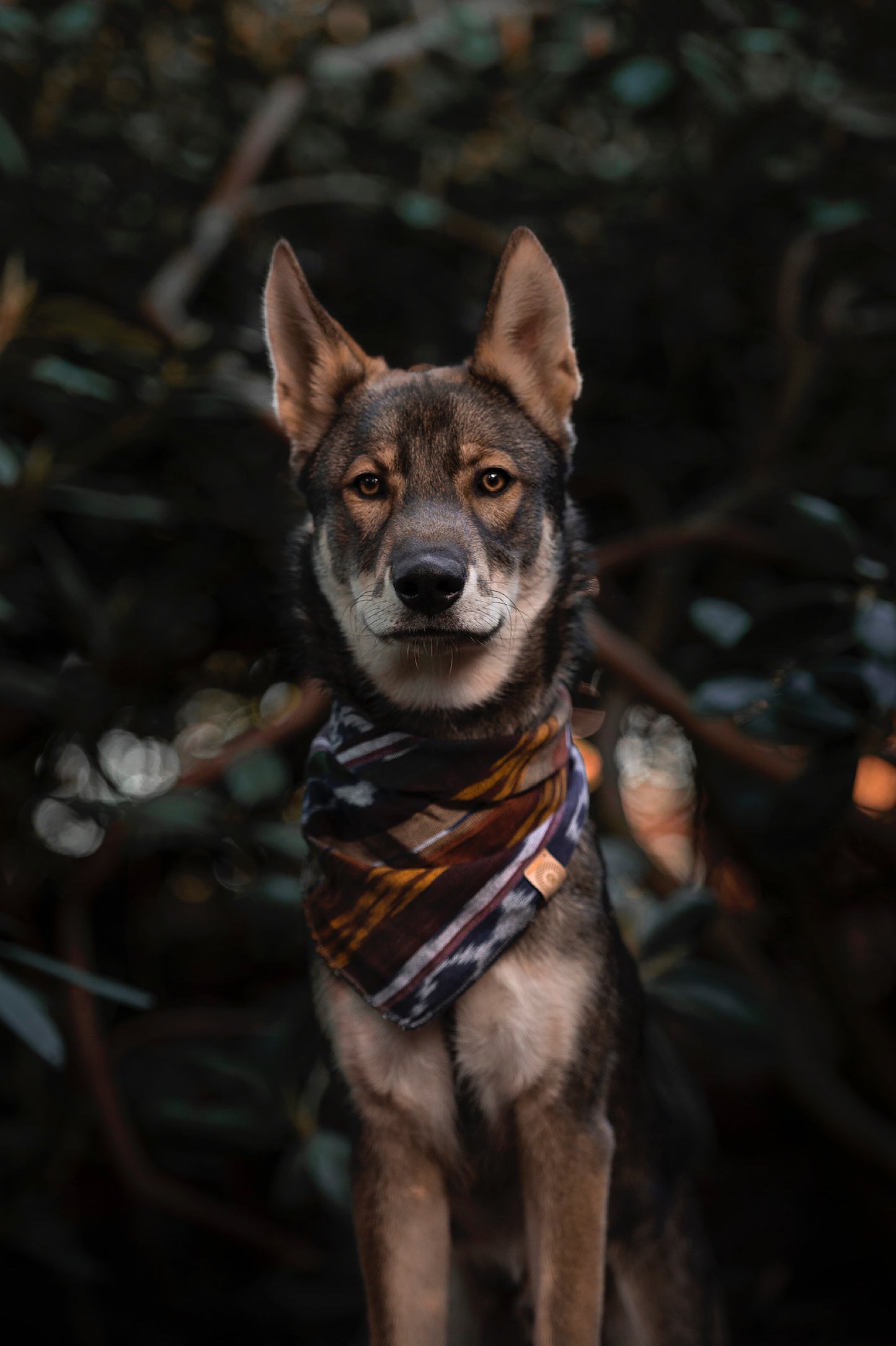 Halstuch FREKI - Bandana | Hundehalstuch | leicht