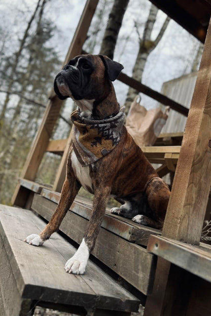 Halstuch THRUD - Bandana | Hundehalstuch | mittelschwer
