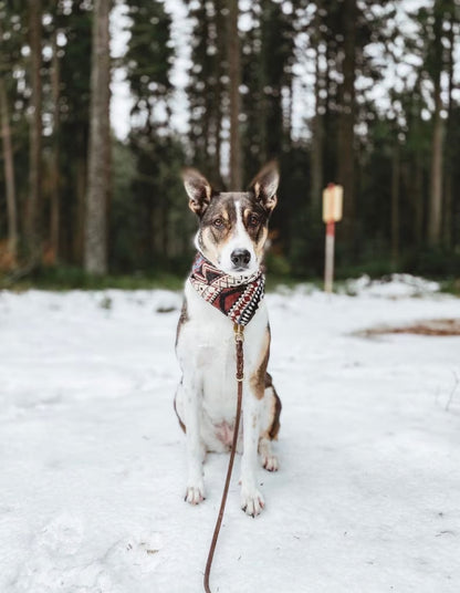Halstuch FENRIS - Bandana | Hundehalstuch | schwer