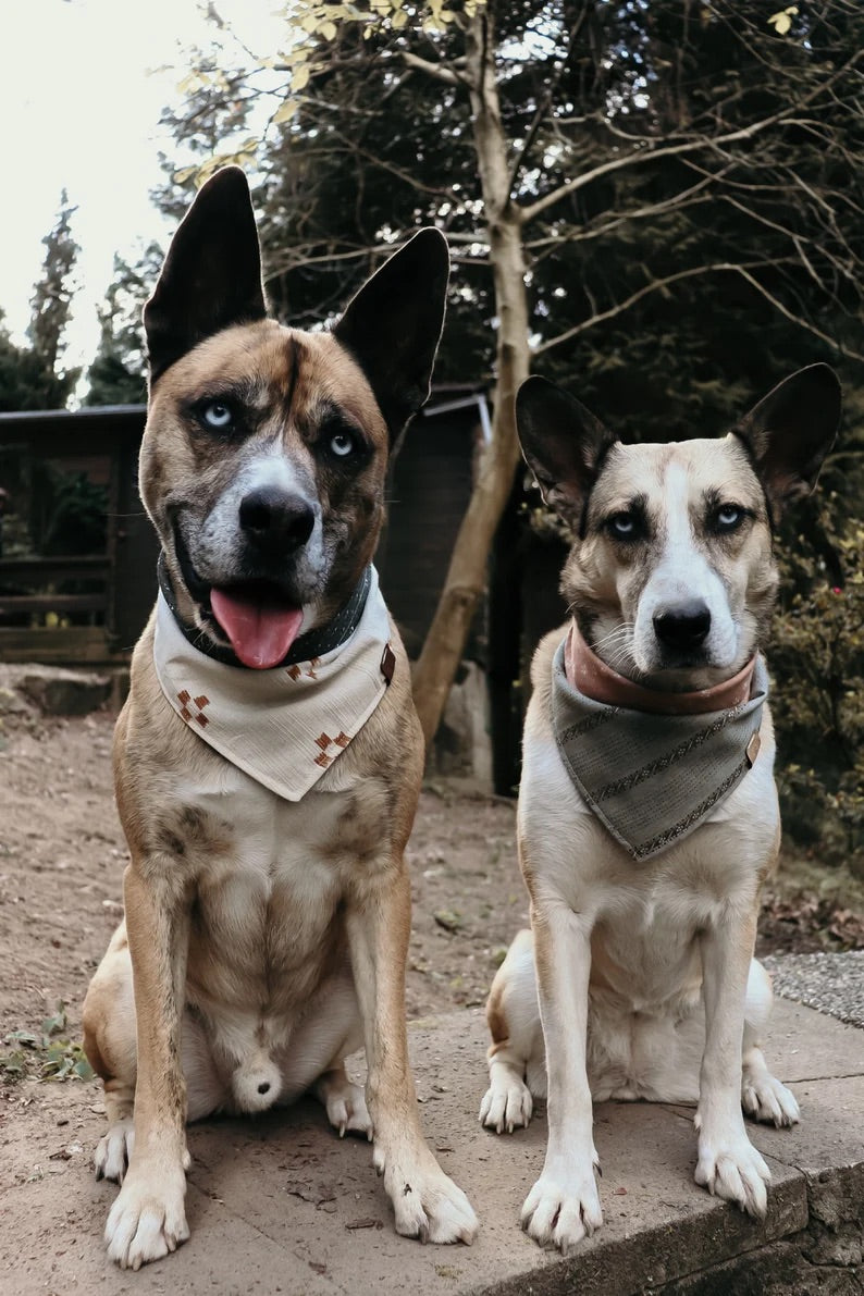 Halstuch RUNA - Bandana Hundehalstuch | leicht