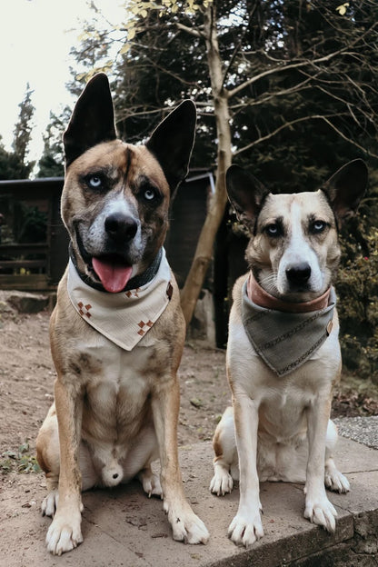 Halstuch RUNA - Bandana Hundehalstuch | leicht