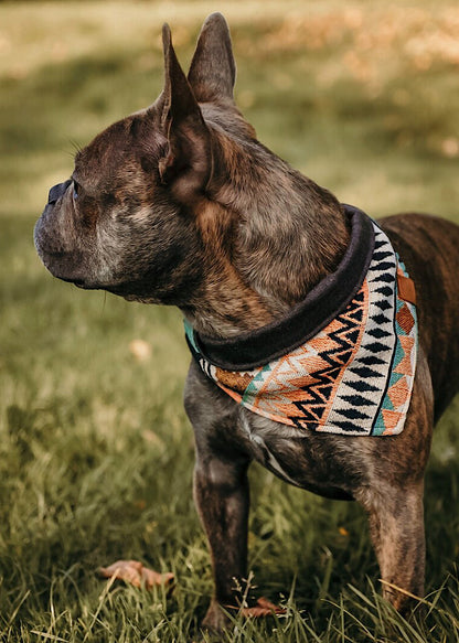 Halstuch LOKI - Bandana | Hundehalstuch | schwer