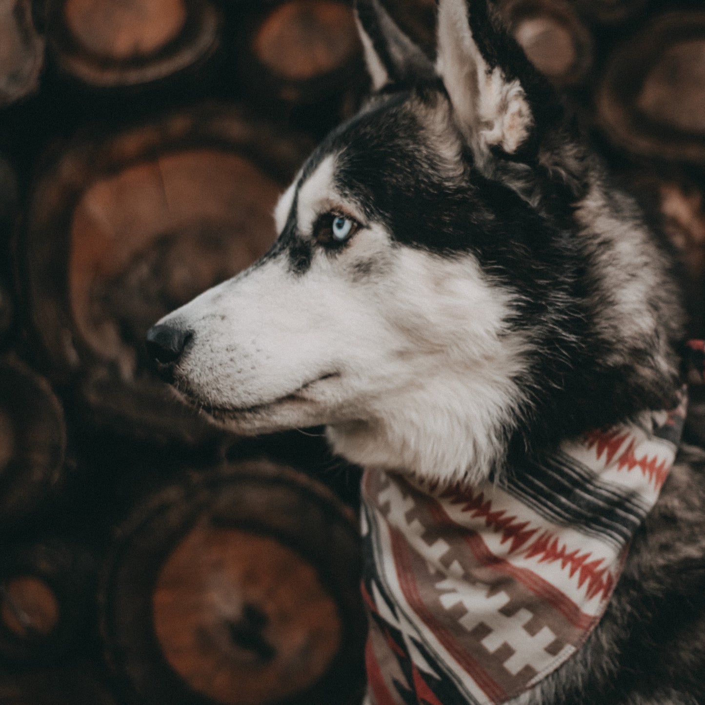 Halstuch BROKK - Bandana | Hundehalstuch | mittelschwer