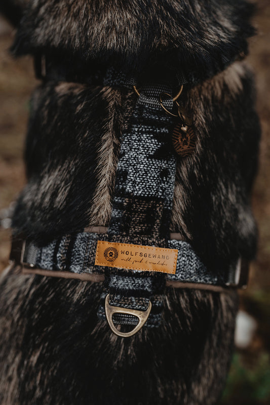 Geschirr VIDAR • gepolstert und verstellbar | verschiedene Varianten erhältlich