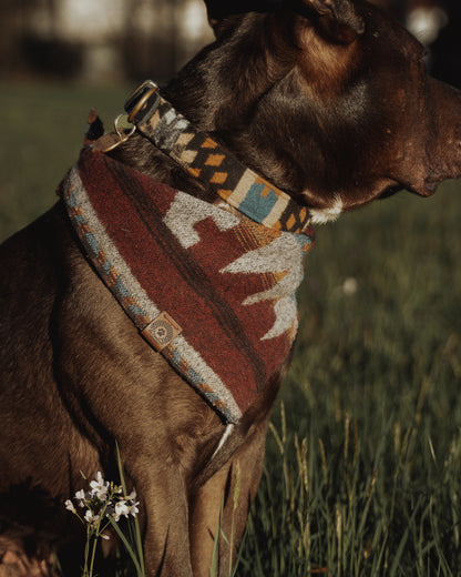 Halsband VALI • Fettleder-Stoff-Kombi | verschiedene Varianten erhältlich