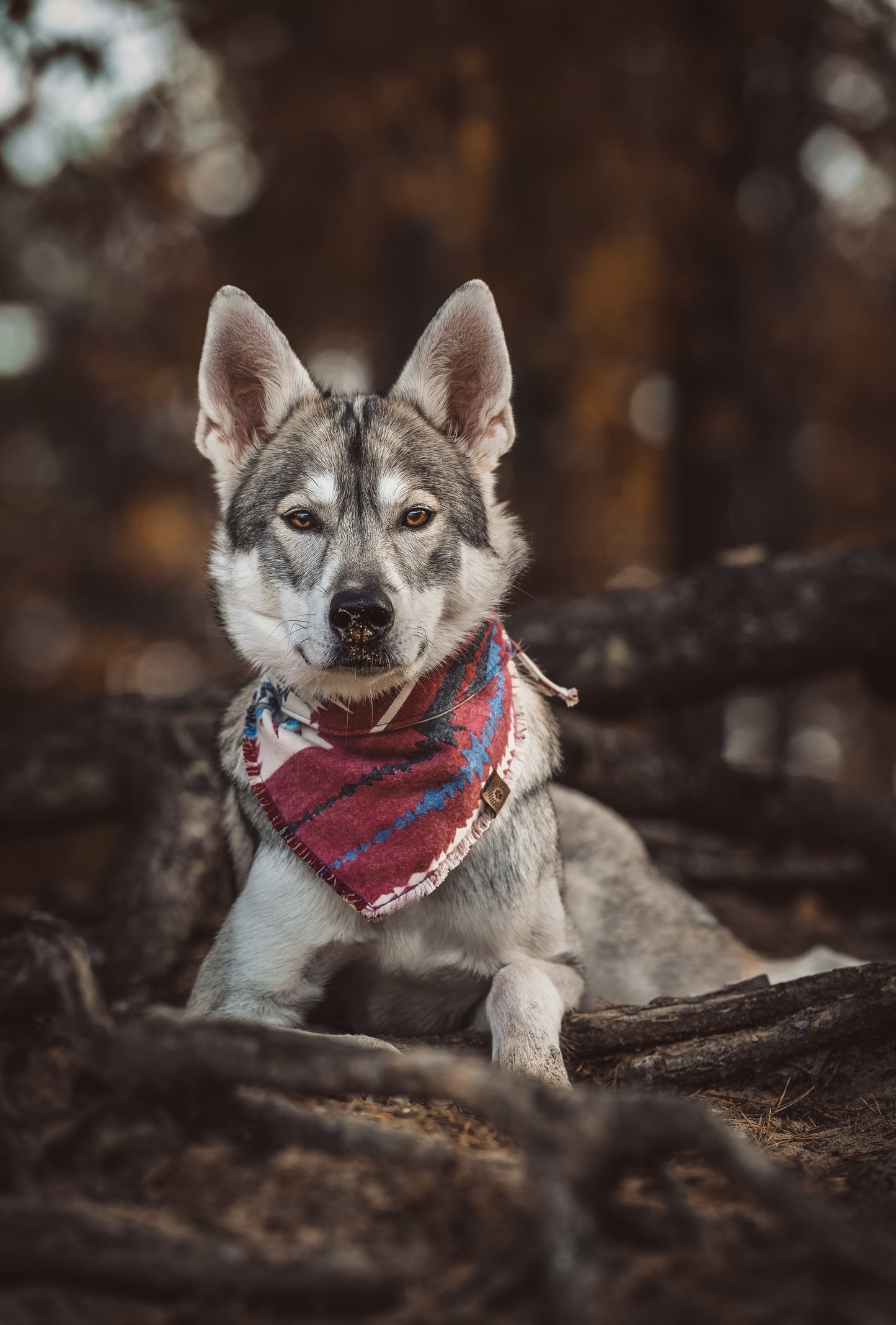 Halstuch SAGA - Bandana | Hundehalstuch | mittelschwer