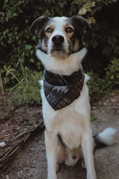 Halstuch VIDAR - Bandana | Hundehalstuch | mittelschwer