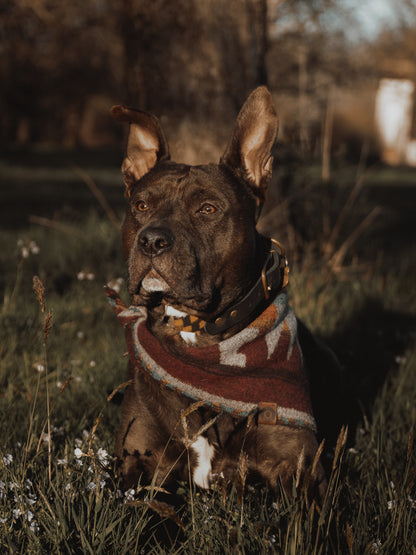 Halstuch ASA - Bandana | Hundehalstuch | mittelschwer