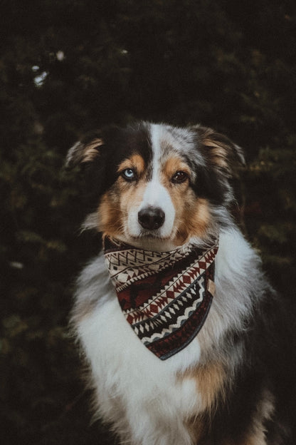 Halstuch FENRIS - Bandana | Hundehalstuch | schwer