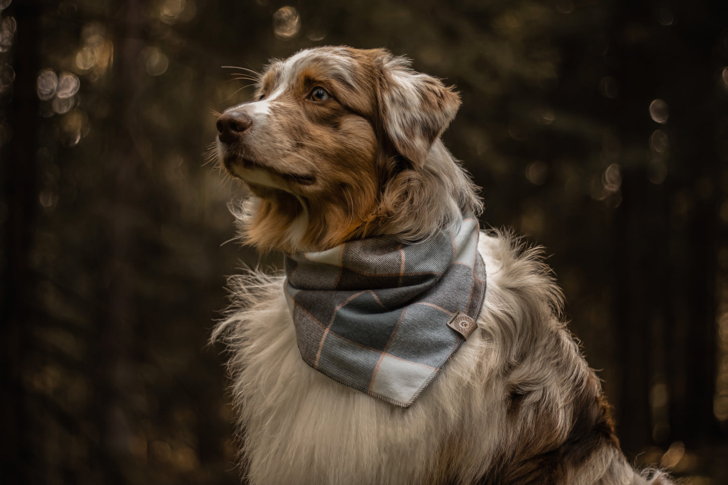 Halstuch MUNIN - Bandana | Hundehalstuch | mittelschwer