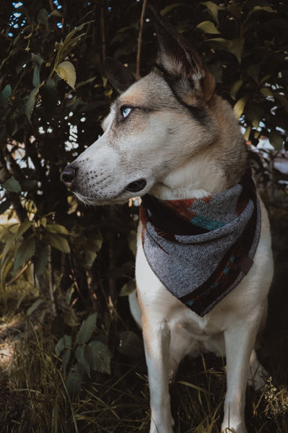 Halstuch ASA - Bandana | Hundehalstuch | mittelschwer