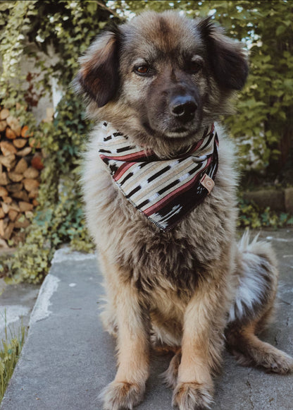 Halstuch IDUNA - Bandana | Hundehalstuch | leicht