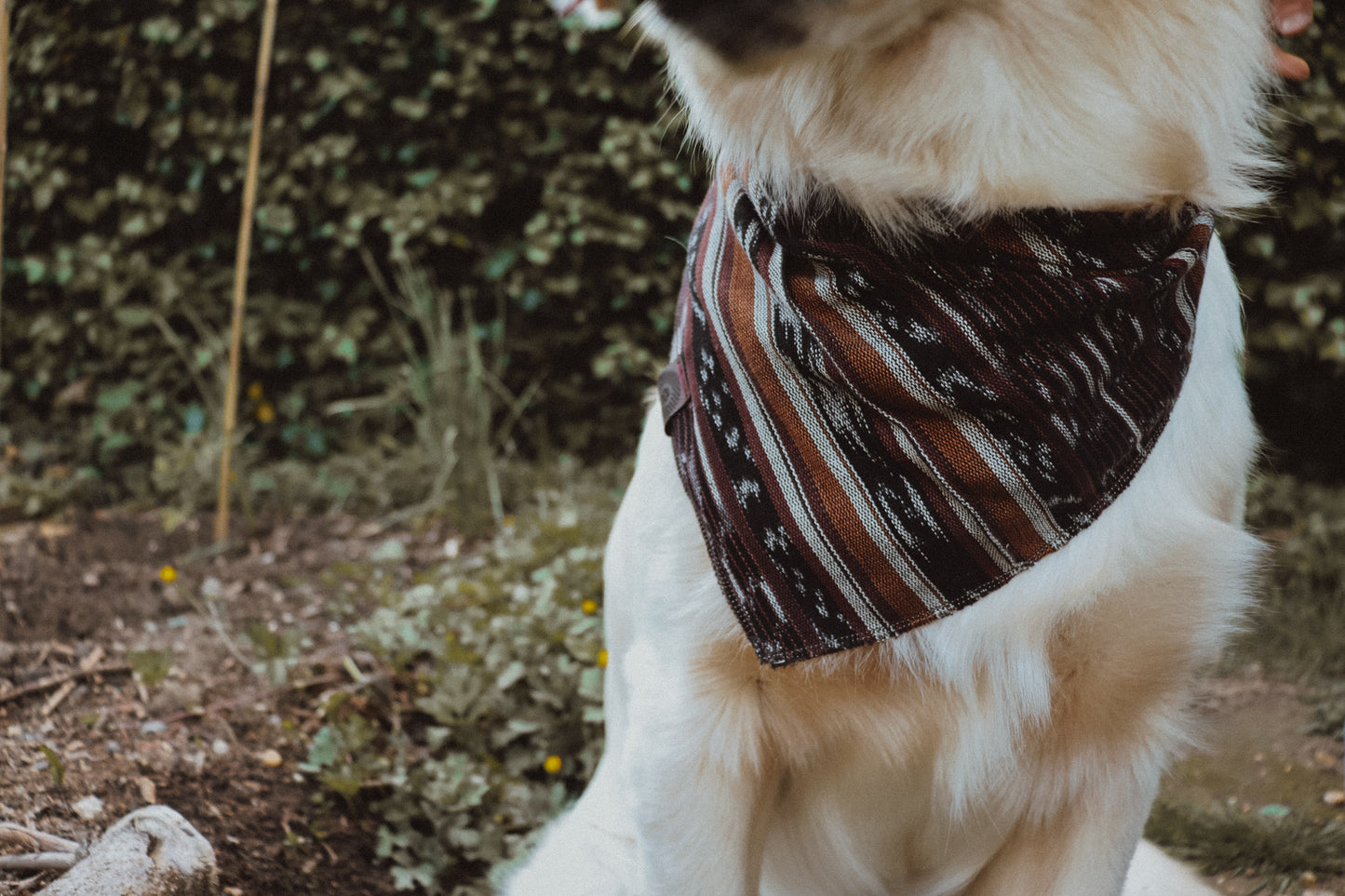 Halstuch MANI - Bandana | Hundehalstuch | leicht