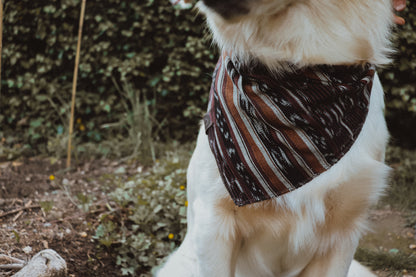 Halstuch MANI - Bandana | Hundehalstuch | leicht