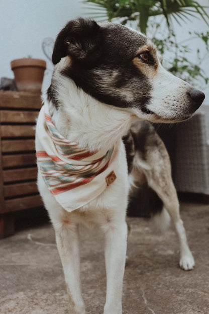 Halstuch DAG - Bandana | Hundehalstuch | leicht