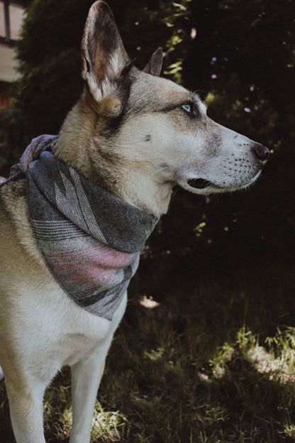 Halstuch URD - Bandana | Hundehalstuch | mittelschwer