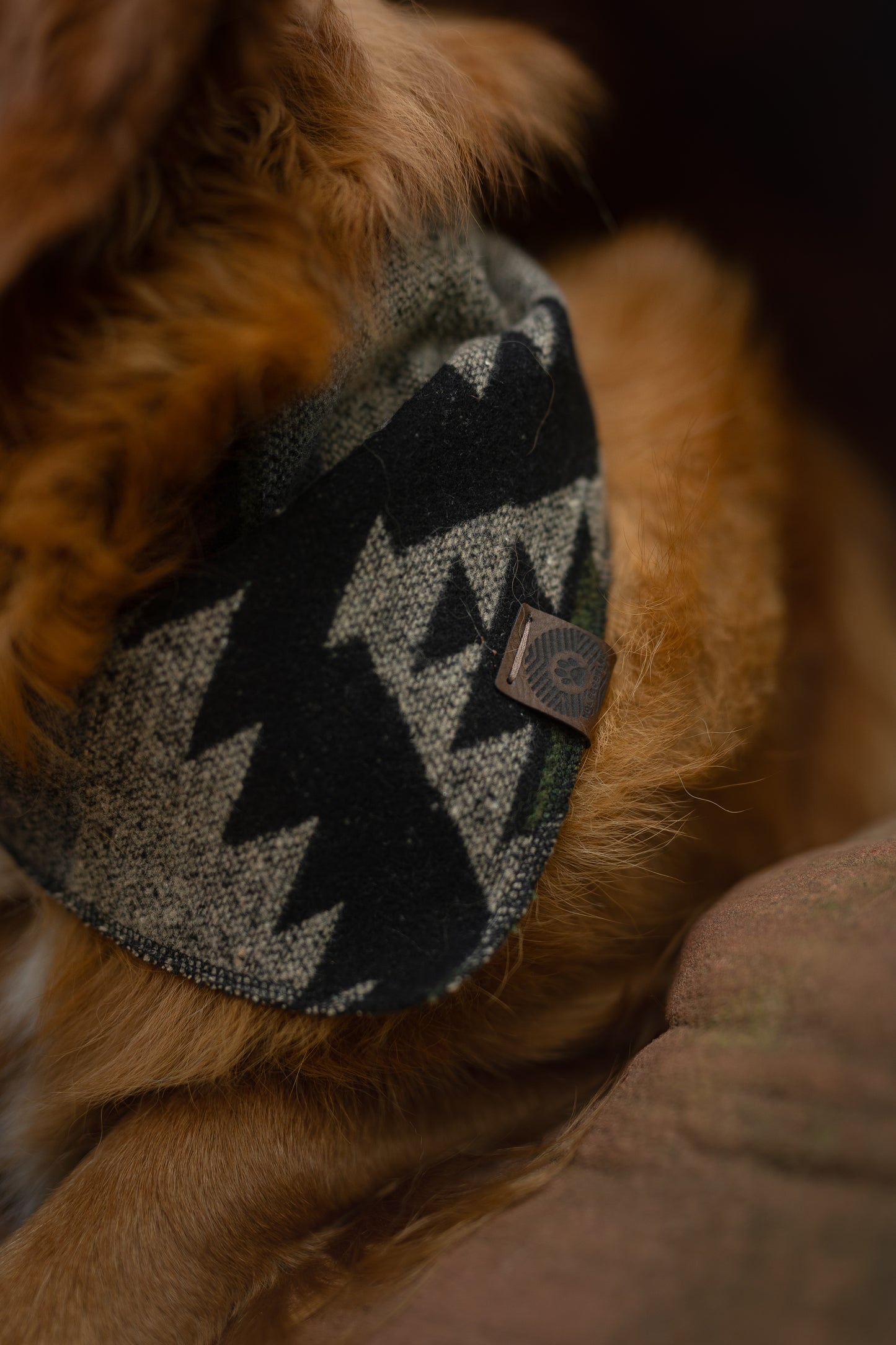 Halstuch GEFION - Bandana | Hundehalstuch | mittelschwer
