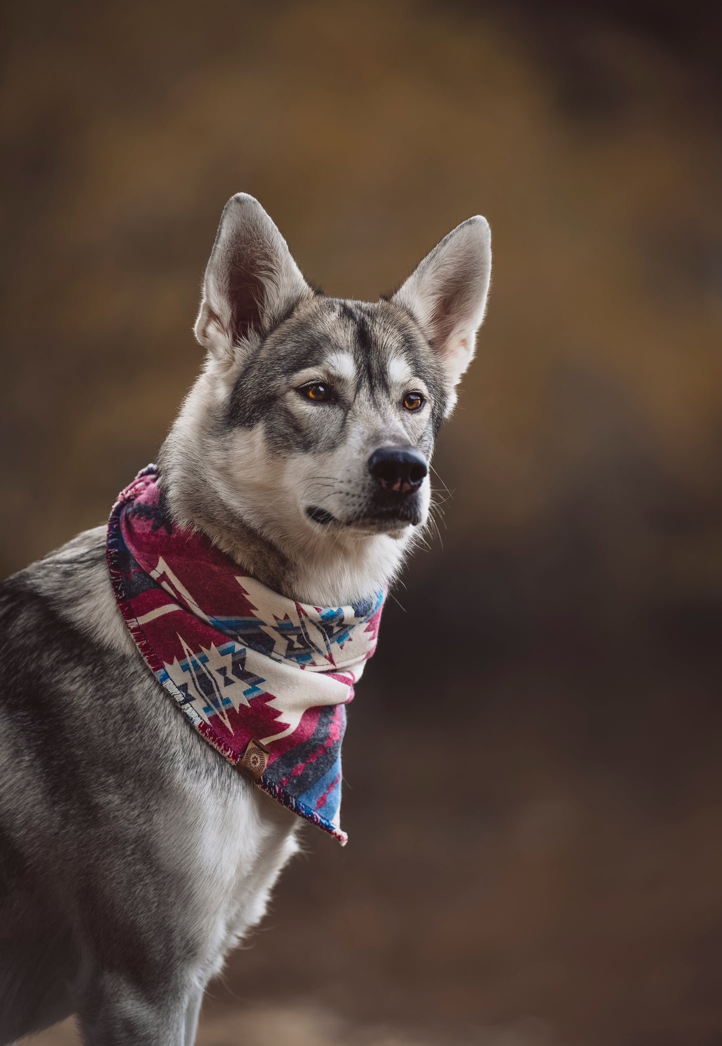 Halstuch SAGA - Bandana | Hundehalstuch | mittelschwer
