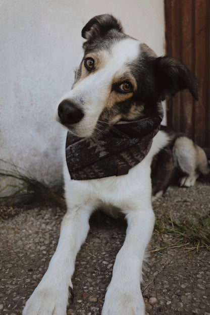 Halstuch VIDAR - Bandana | Hundehalstuch | mittelschwer