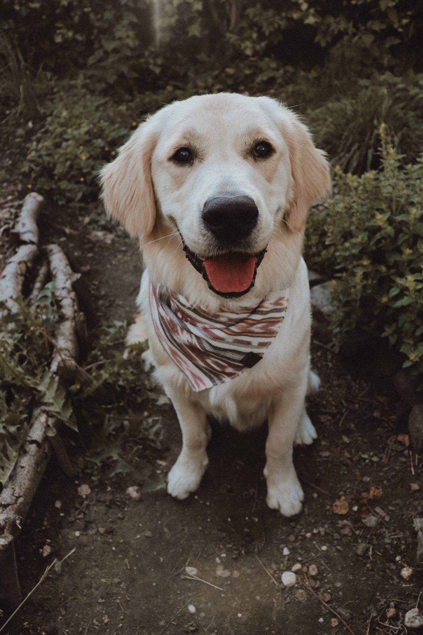 Halstuch SOL - Bandana | Hundehalstuch | leicht