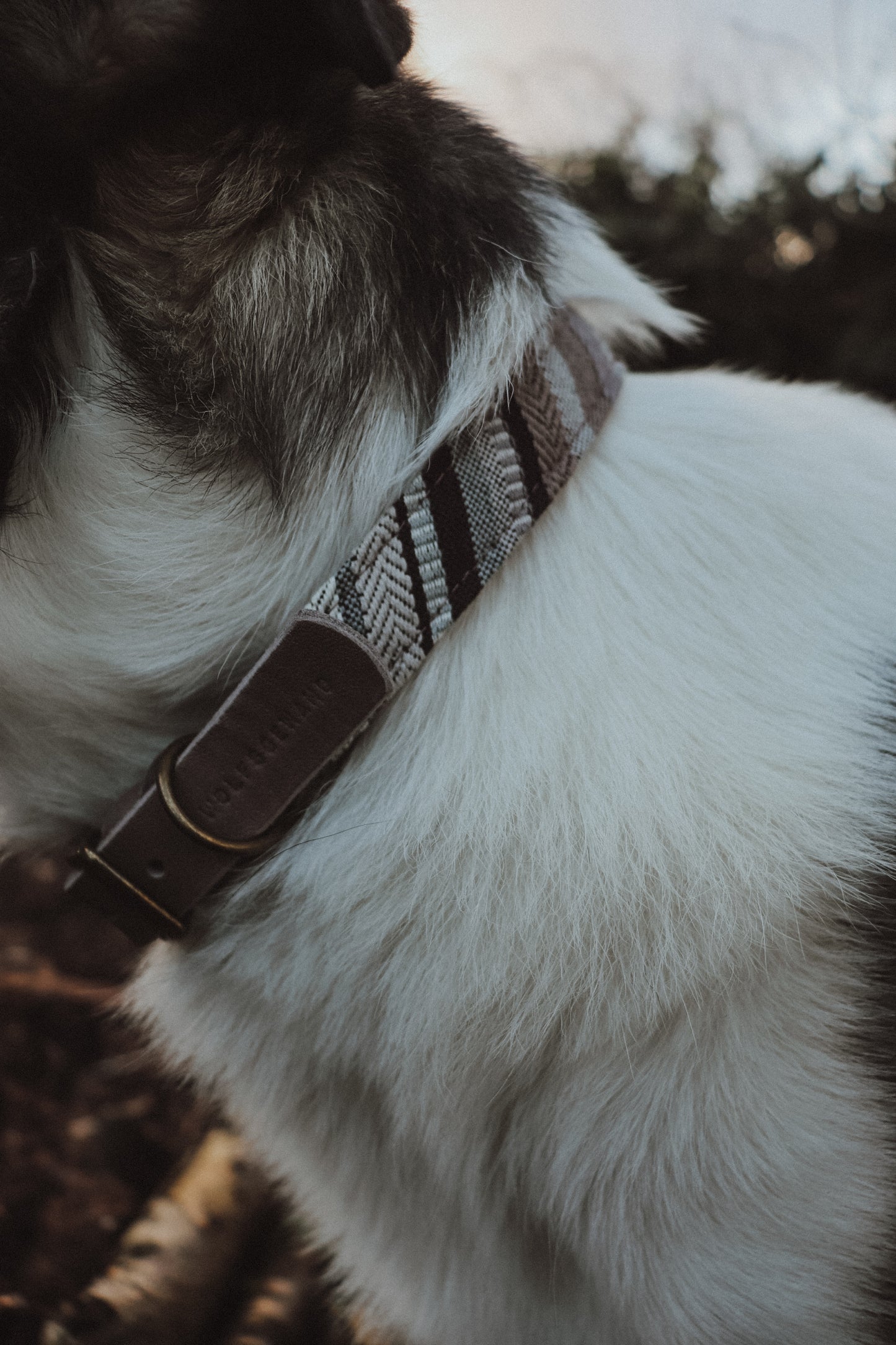 Halsband FRIGG • Fettleder-Stoff-Kombi | verschiedene Varianten erhältlich