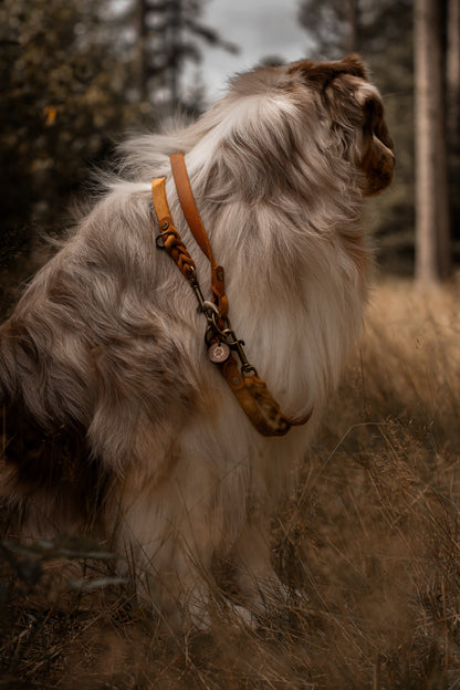 Braided leather leash 3-way adjustable - approx. 2m - different colors