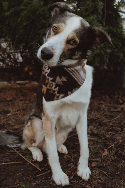 Halstuch THRUD - Bandana | Hundehalstuch | mittelschwer